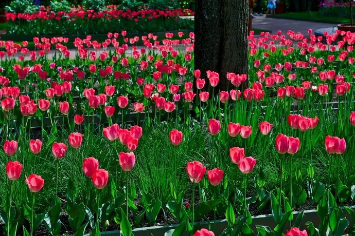 Location parking Bondy